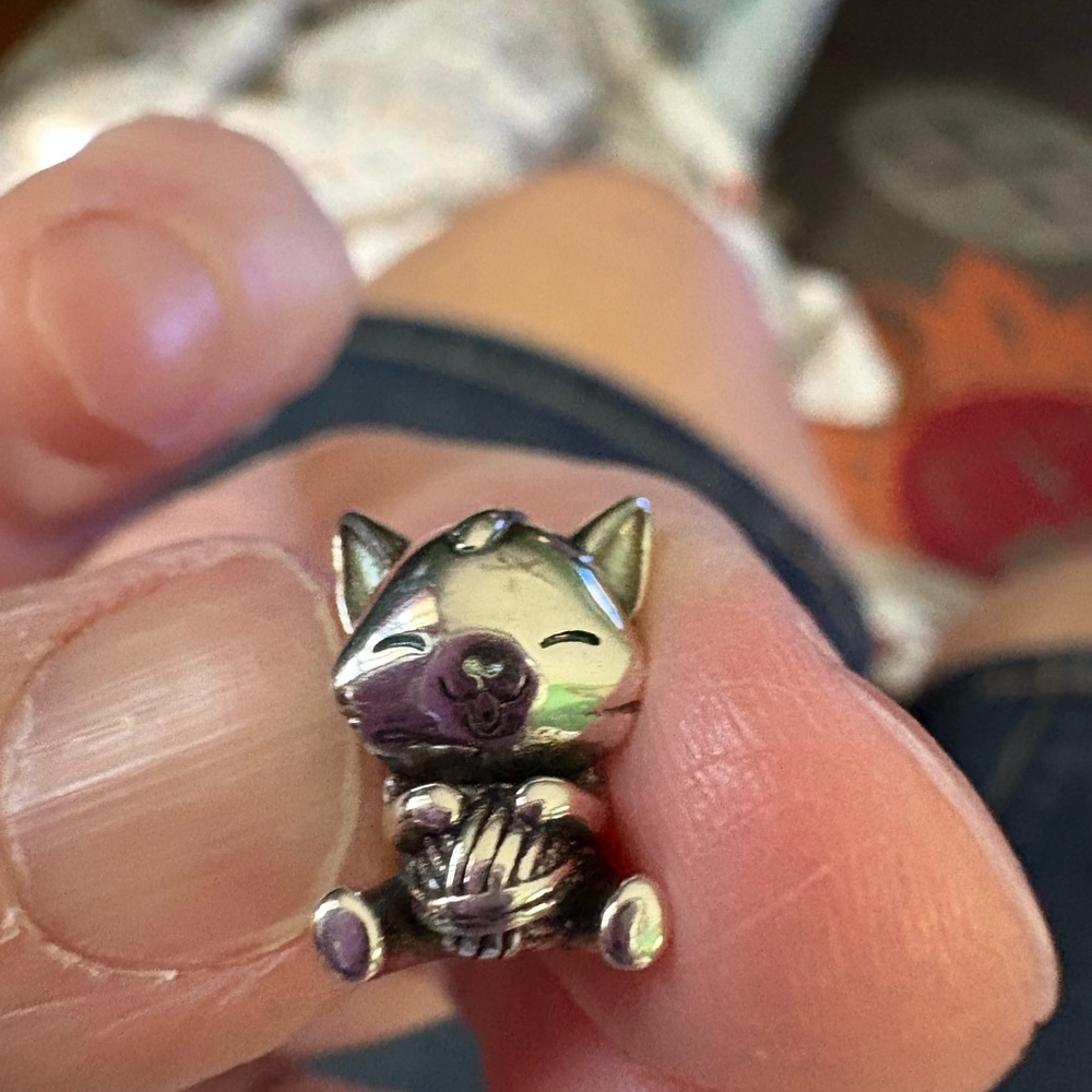 Linx sterling silver charm